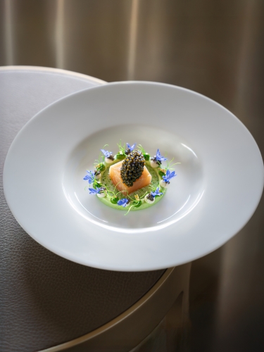 Profesjonalna prezentacja